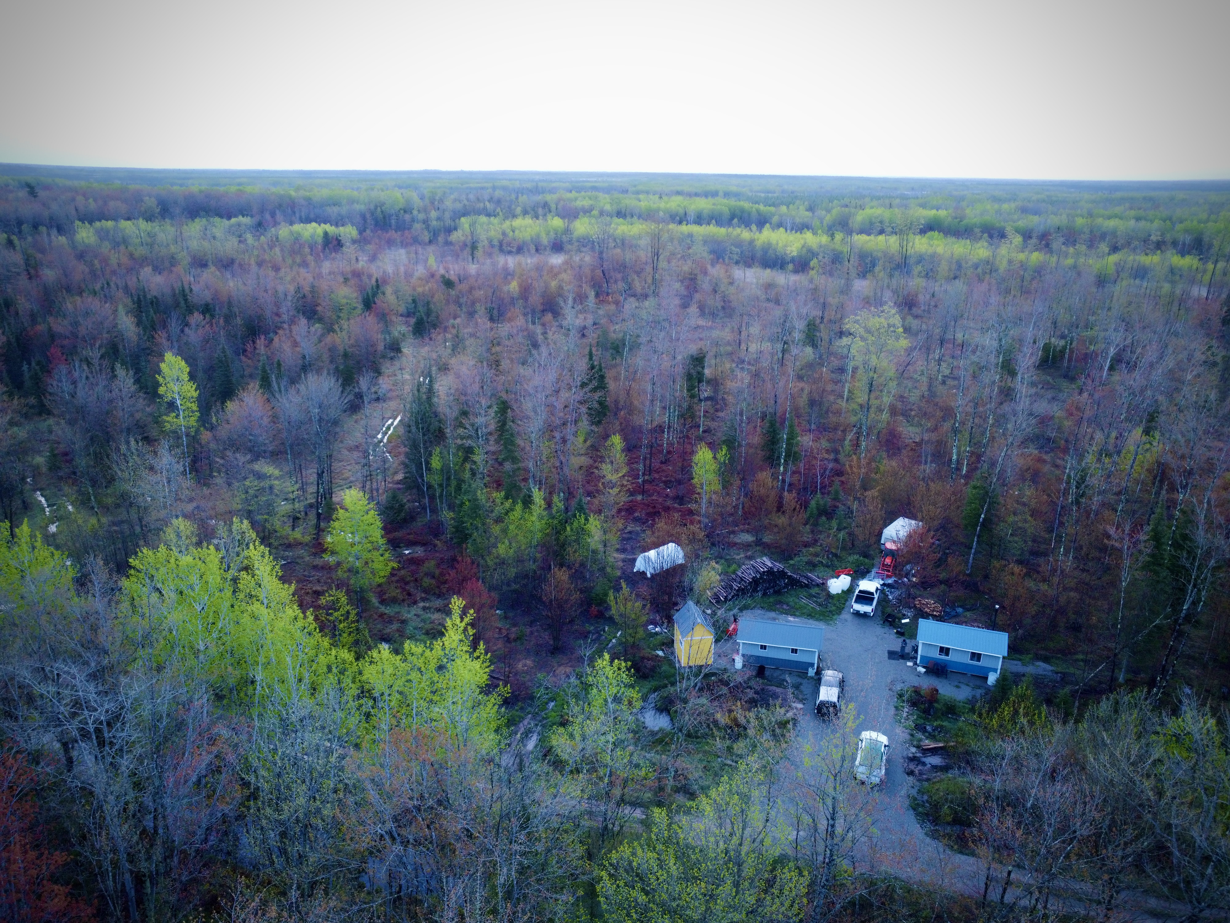 Aerial view of Fruition Forest Garden