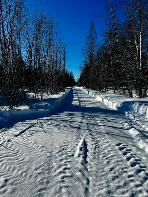 The March ’26 Blizzard on the Homestead