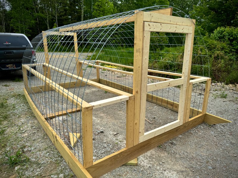Raising Chickens Again in Cornell Michigan