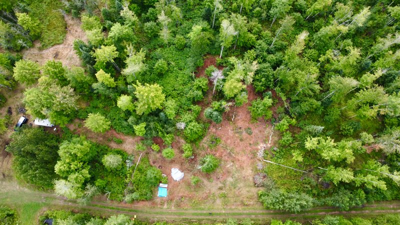 Lessons from the Land: A Three-Year Homestead Q&A