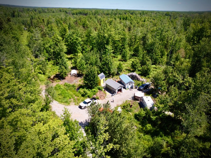 Lessons from the Land: A Three-Year Homestead Q&A